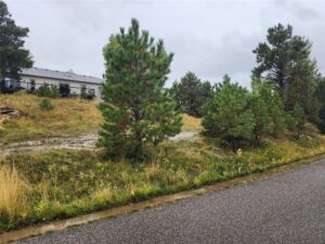 4234 Long Rider Trail, Billings, MT photo 6