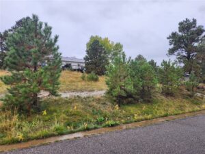 4234 Long Rider Trail, Billings, MT photo 9