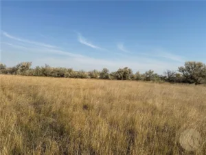 6419 LOT 6A Olive Branch Way, Billings, MT photo 8