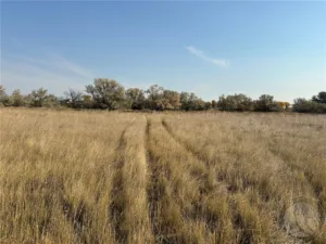 6419 LOT 6A Olive Branch Way, Billings, MT photo 9