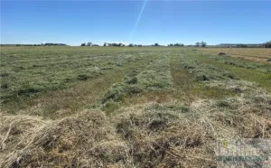 6419 LOT 6B Olive Branch Way, Billings, MT photo 2