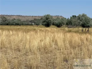 6419 LOT 6B Olive Branch Way, Billings, MT photo 4