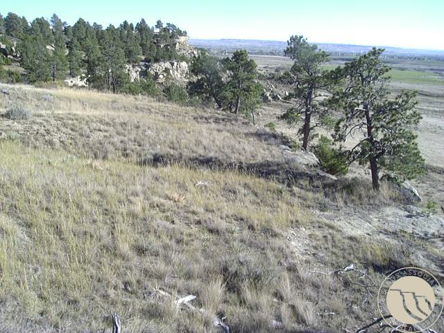 10550 Reno Lane, Shepherd, MT