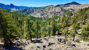 146 Pioneer Trail Lane, Other, MT photo 6