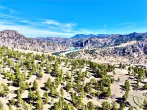 146 Pioneer Trail Lane, Other, MT photo 9