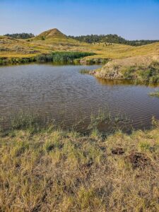 480 Spring Creek Road, Baker, MT photo 9