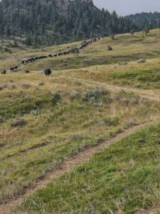 480 Spring Creek Road, Baker, MT photo 10