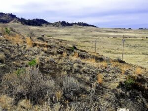 00 Davis Road, Miles City, MT photo 3