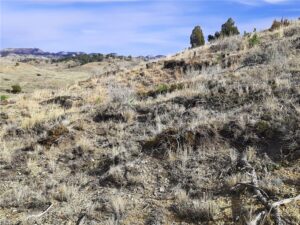 00 Davis Road, Miles City, MT photo 5