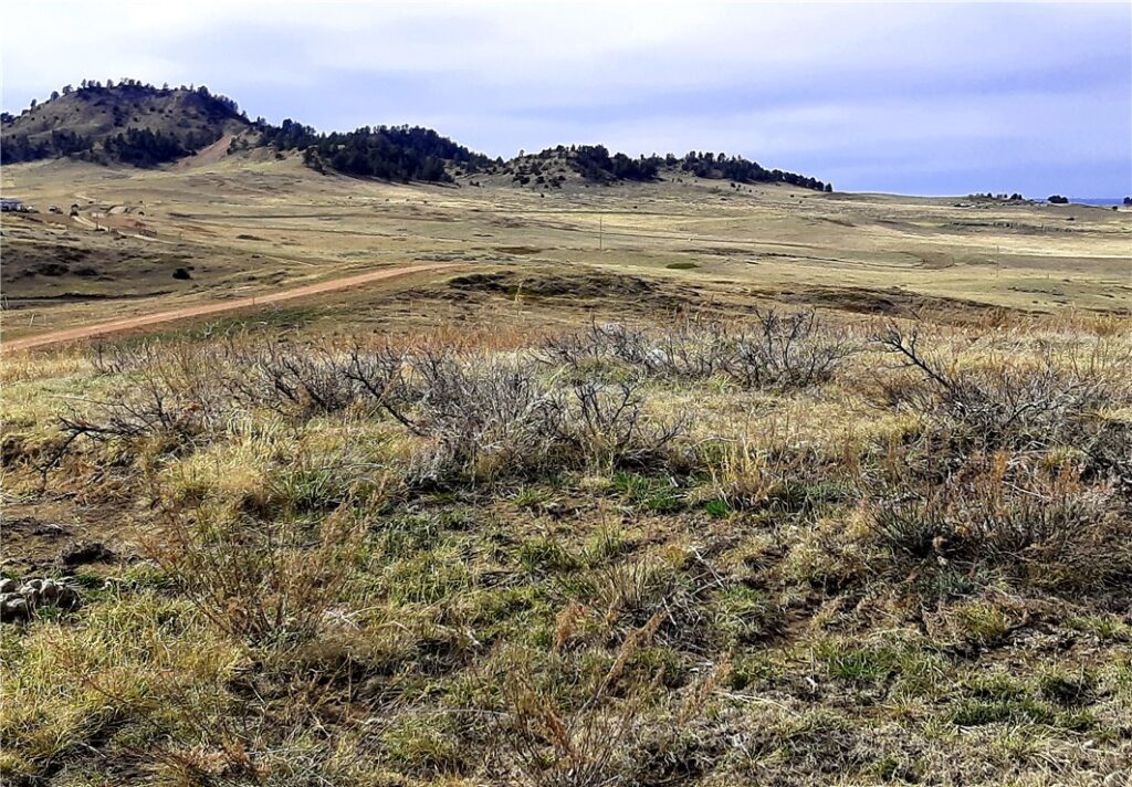 00 Davis Road, Miles City, MT photo 6