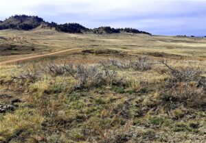 00 Davis Road, Miles City, MT photo 6