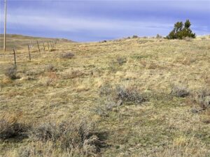 00 Davis Road, Miles City, MT photo 8