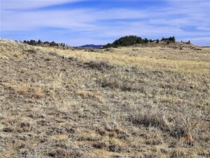 00 Davis Road, Miles City, MT photo 9