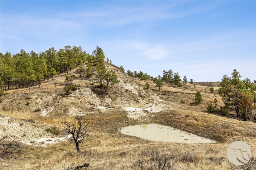 2168 Trophy Ridge, Other, MT photo 7