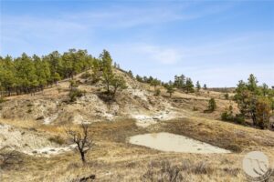 2168 Trophy Ridge, Other, MT photo 7