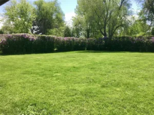 2413 Elizabeth Street, Billings, MT photo 3