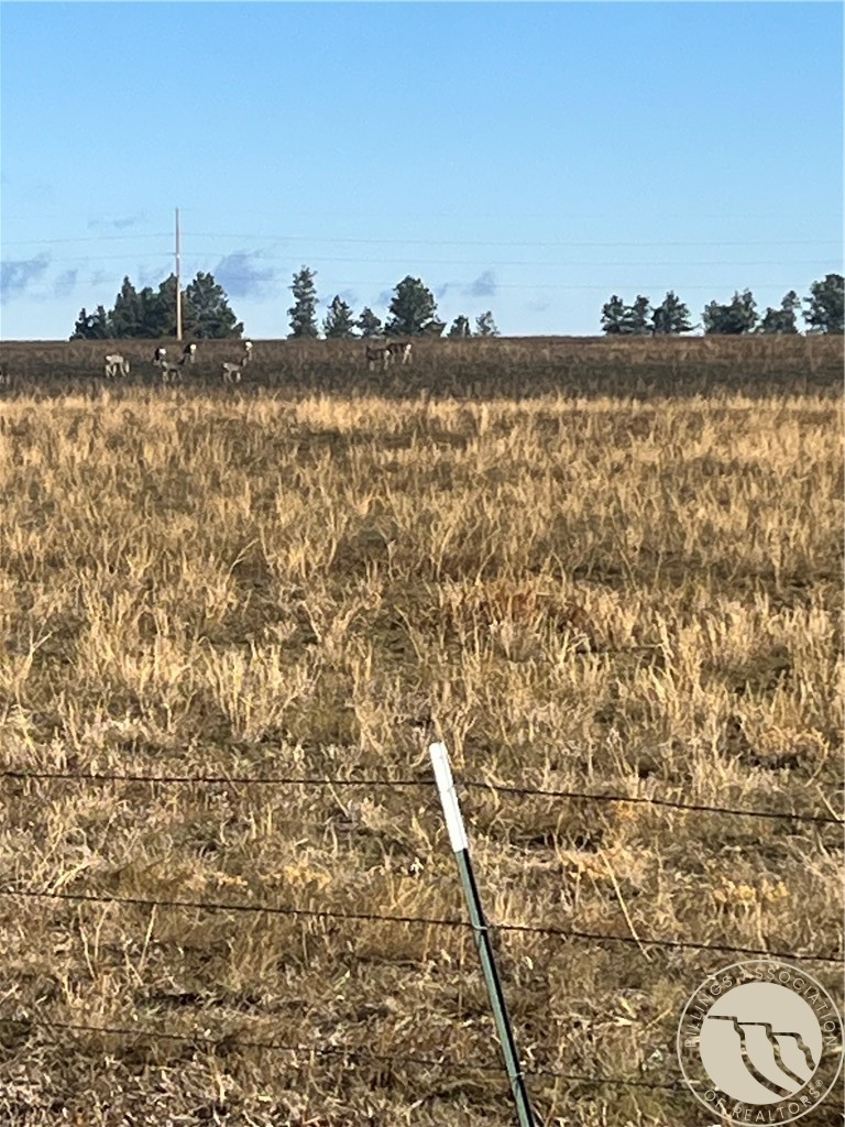 647 Majerus – Lot 1 Road, Roundup, MT photo 1