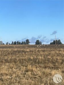 647 Majerus – Lot 1 Road, Roundup, MT photo 2