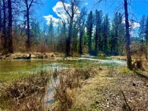 21481 Nine Mile Road, Other, MT photo 2