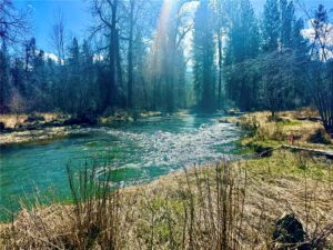 21481 Nine Mile Road, Other, MT photo 4