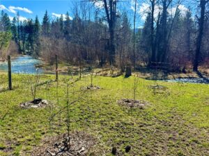 21481 Nine Mile Road, Other, MT photo 6