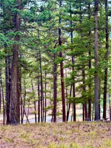 21481 Nine Mile Road, Other, MT photo 8