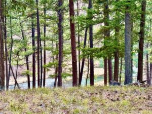 21481 Nine Mile Road, Other, MT photo 9