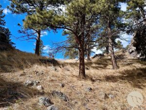 0 Novak Creek Lane, Other, MT photo 3