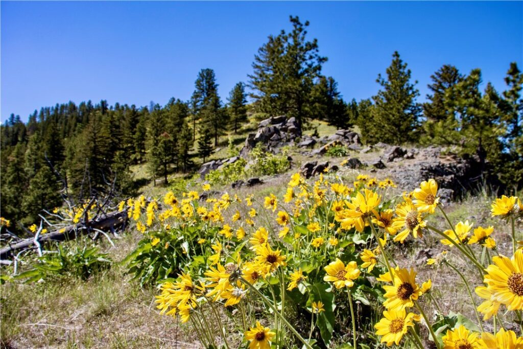 0 Novak Creek Lane, Other, MT photo 10