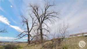 7804 Monad Road, Billings, MT photo 8