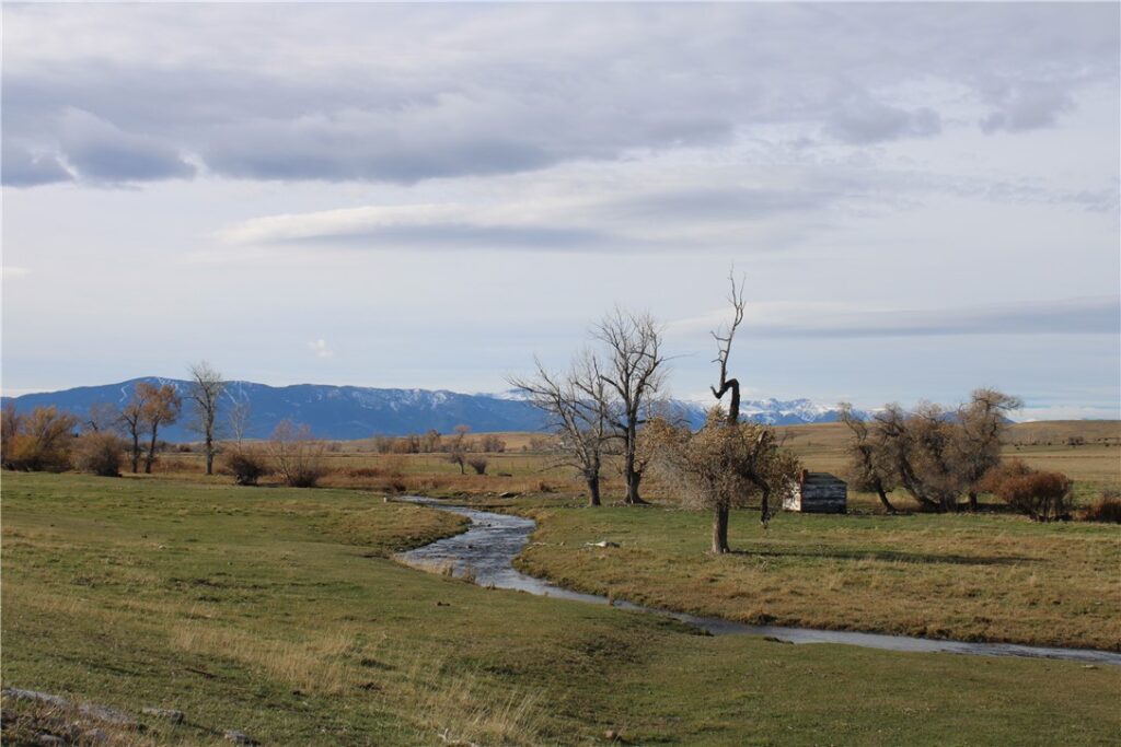 123 Maki Johnson Road, Roberts, MT photo 5