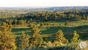 nhn Lone Rock Canyon, Hysham, MT photo 2