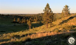 nhn Lone Rock Canyon, Hysham, MT photo 3