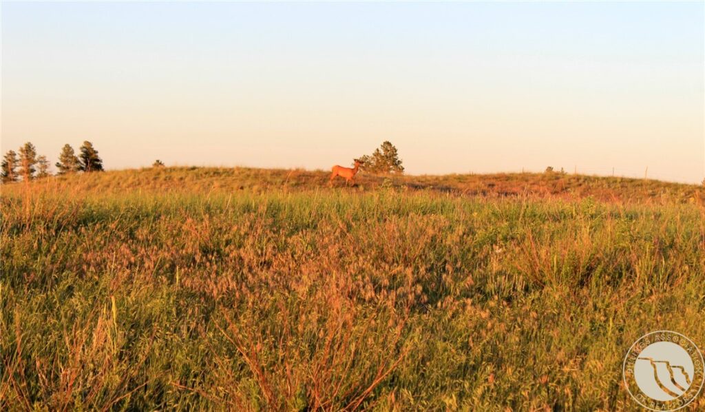 nhn Lone Rock Canyon, Hysham, MT photo 4