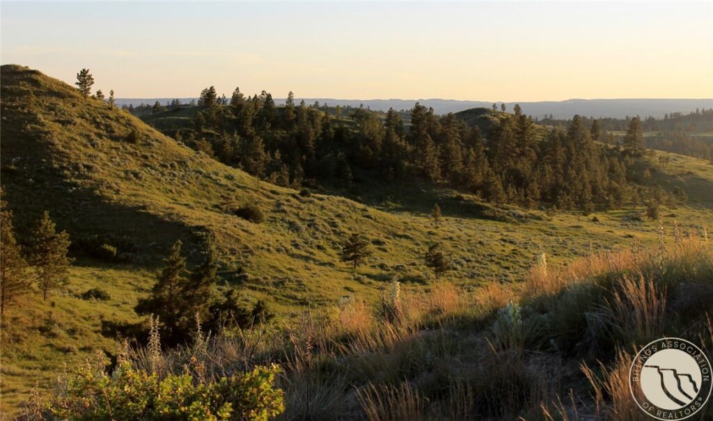 nhn Lone Rock Canyon, Hysham, MT photo 5