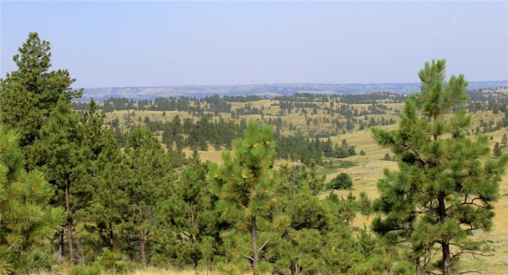 nhn Lone Rock Canyon, Hysham, MT photo 6