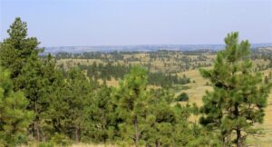 nhn Lone Rock Canyon, Hysham, MT photo 6