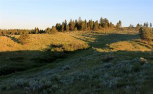 nhn Lone Rock Canyon, Hysham, MT photo 7
