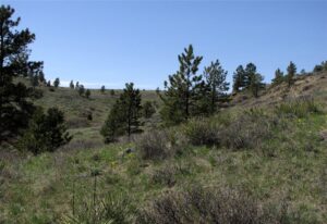 nhn Lone Rock Canyon, Hysham, MT photo 8