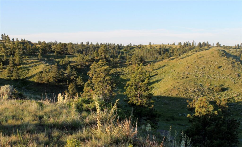 nhn Lone Rock Canyon, Hysham, MT photo 10