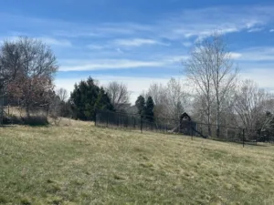 2914 Kincaid Road, Billings, MT photo 4