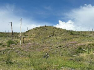 118 Buckskin Drive, Roundup, MT photo 3