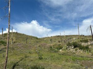 118 Buckskin Drive, Roundup, MT photo 5