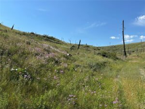 118 Buckskin Drive, Roundup, MT photo 6