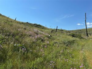 118 Buckskin Drive, Roundup, MT photo 7