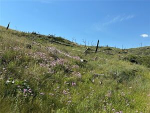 118 Buckskin Drive, Roundup, MT photo 8