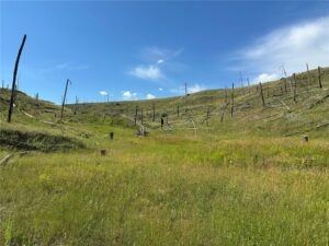 118 Buckskin Drive, Roundup, MT photo 9