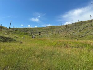 118 Buckskin Drive, Roundup, MT photo 10