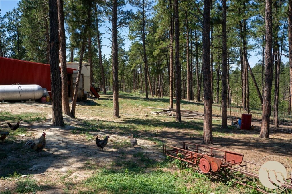 448 W Parrot Creek, Roundup, MT photo 6