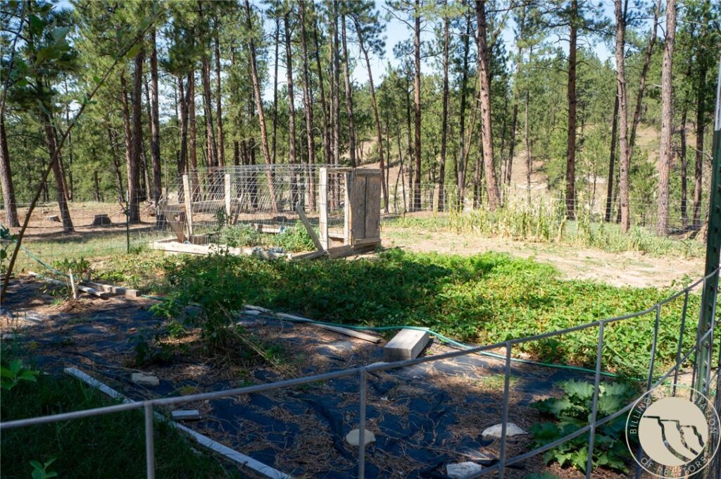 448 W Parrot Creek, Roundup, MT photo 7